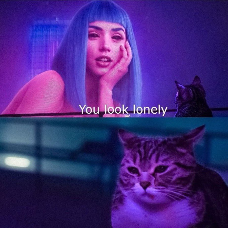 PunchingCat's tweet image. 