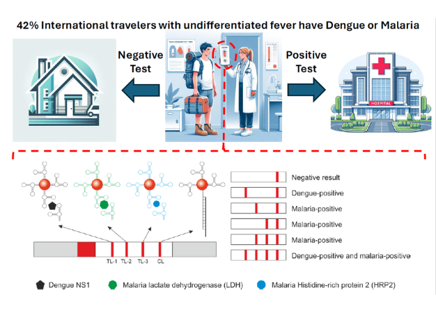 InterfibioURV tweet media