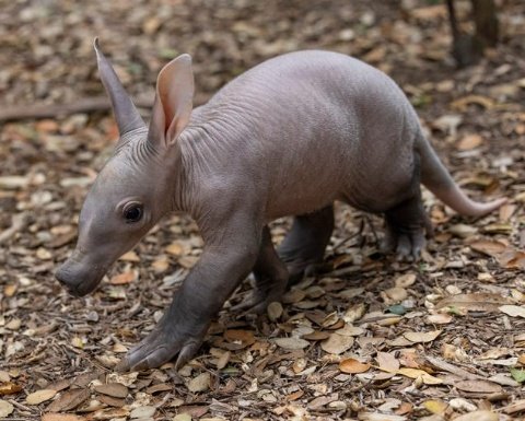 Ubu iyo tuba tutaziranye waribuzasaze utabonye agasamunyiga🥹🤪🤪