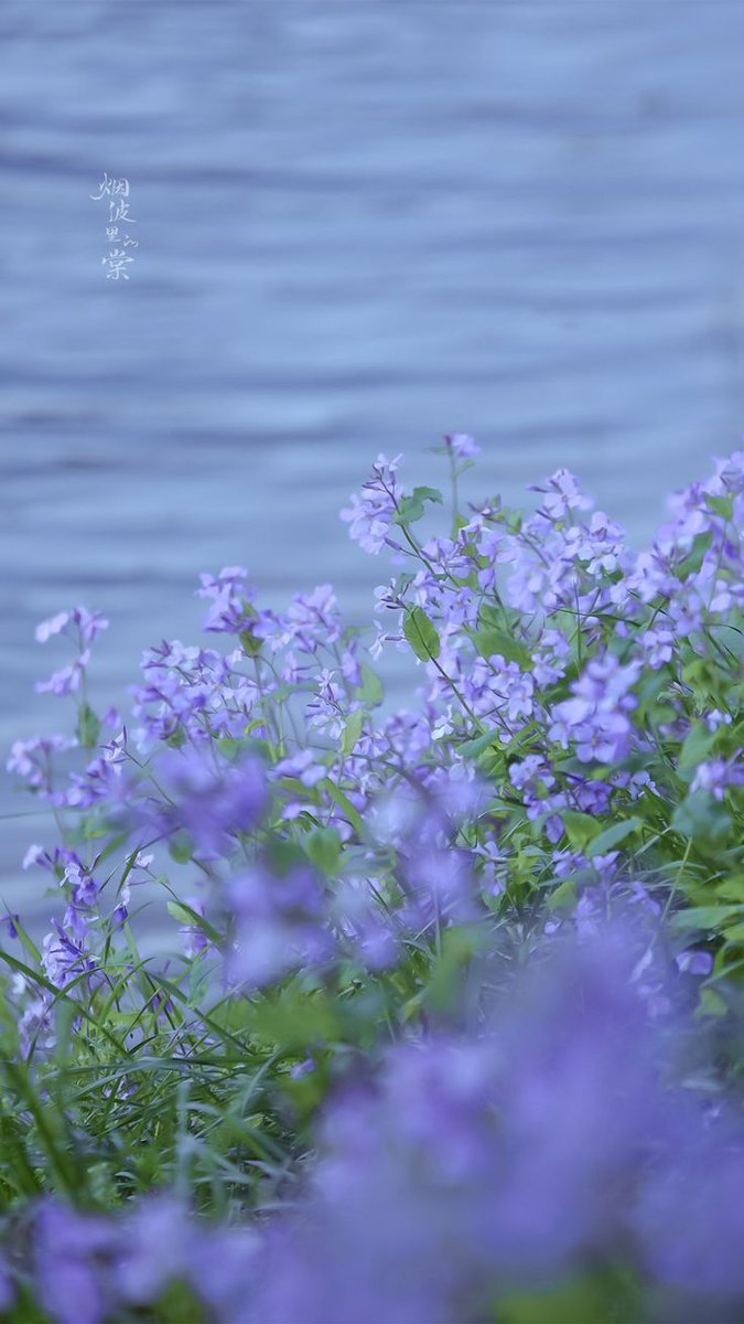 Sure. What sector is it?