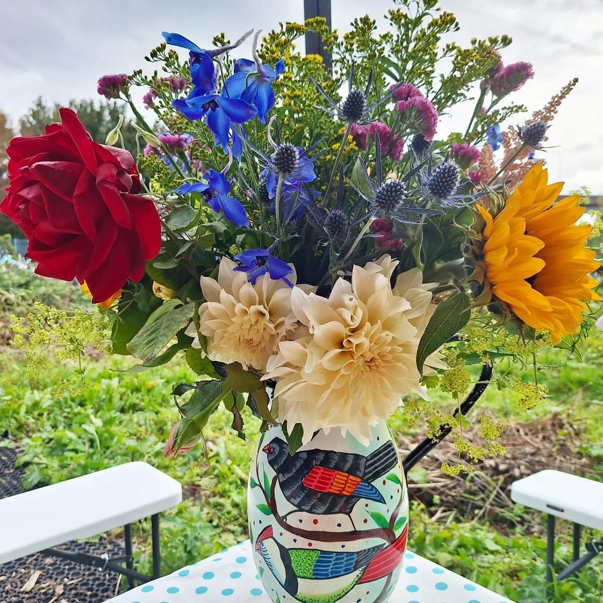 l00plabs's tweet photo. The Up the Allotments! Harvest party was super fun this past weekend. How cute is the Loop Labs pie? Love it! @eleanorpearce #eastsidecommunityheritage https://t.co/8FXDI5V5Kv
