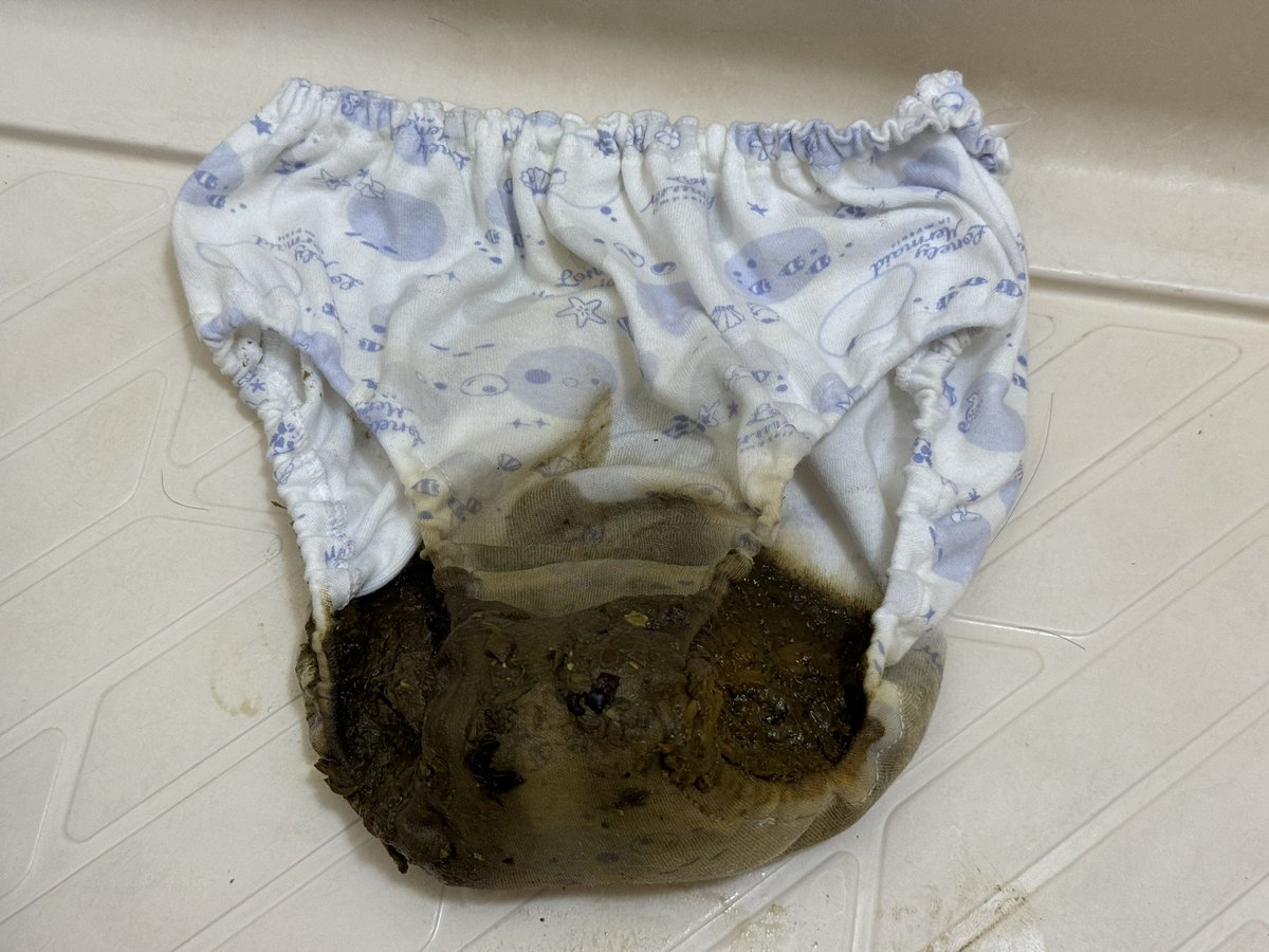 ringoame_scat's tweet photo. 実はおもらししちゃったのはうんちでした
トイレに着く頃にはもうおしりから結構出ちゃってて、ドアの鍵をかけたくらいでうんちしたすぎて止めようとしてるのに勝手にいきんじゃって、ずももももってすごい量出ちゃいました
全部がぐちょぐちょで、ぱんつはうんちでぱんぱんです…
#うんち #おもらし https://t.co/UDfStNs3v2