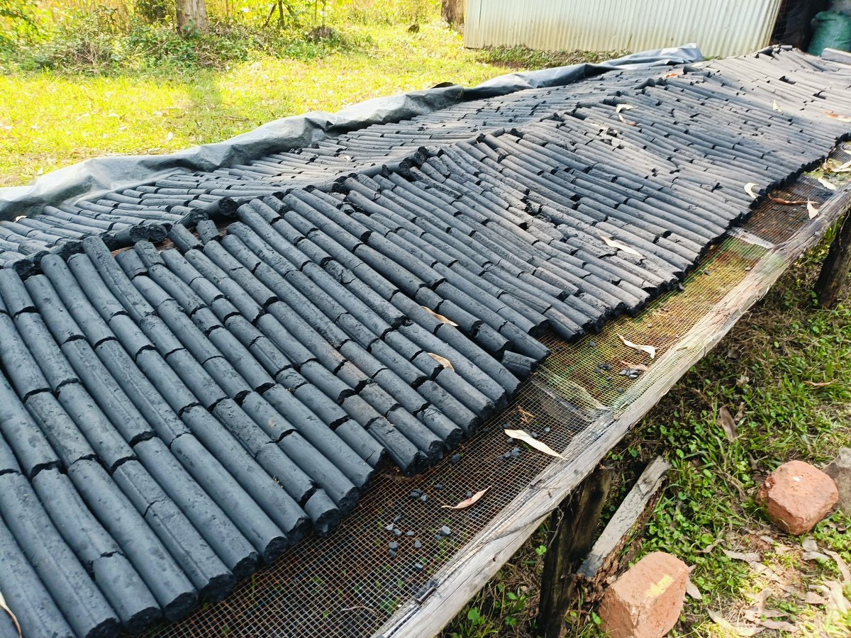 eco2libriumllc's tweet image. Switching to and using briquettes presents a sustainable solution to the #energy challenges faced by many households and businesses.
Get a kilo of #briquettes at only 40 shillings, with free delivery within Kakamega town.