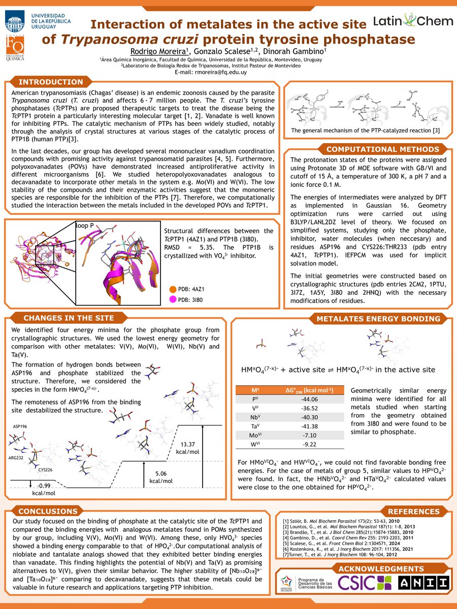 Rodrigo Moreira (@rodri2000m) on Twitter photo Hi <a href="/LatinXChem/">LatinXChem</a> , presenting my work "Interaction of metalates in the active site of Trypanosoma cruzi protein tyrosine phosphatase" at #LatinXChem24 #LatinXChemComp #Comp080 Hi <a href="/LatinXChem/">LatinXChem</a> , presenting my work "Interaction of metalates in the active site of Trypanosoma cruzi protein tyrosine phosphatase" at #LatinXChem24 #LatinXChemComp #Comp080