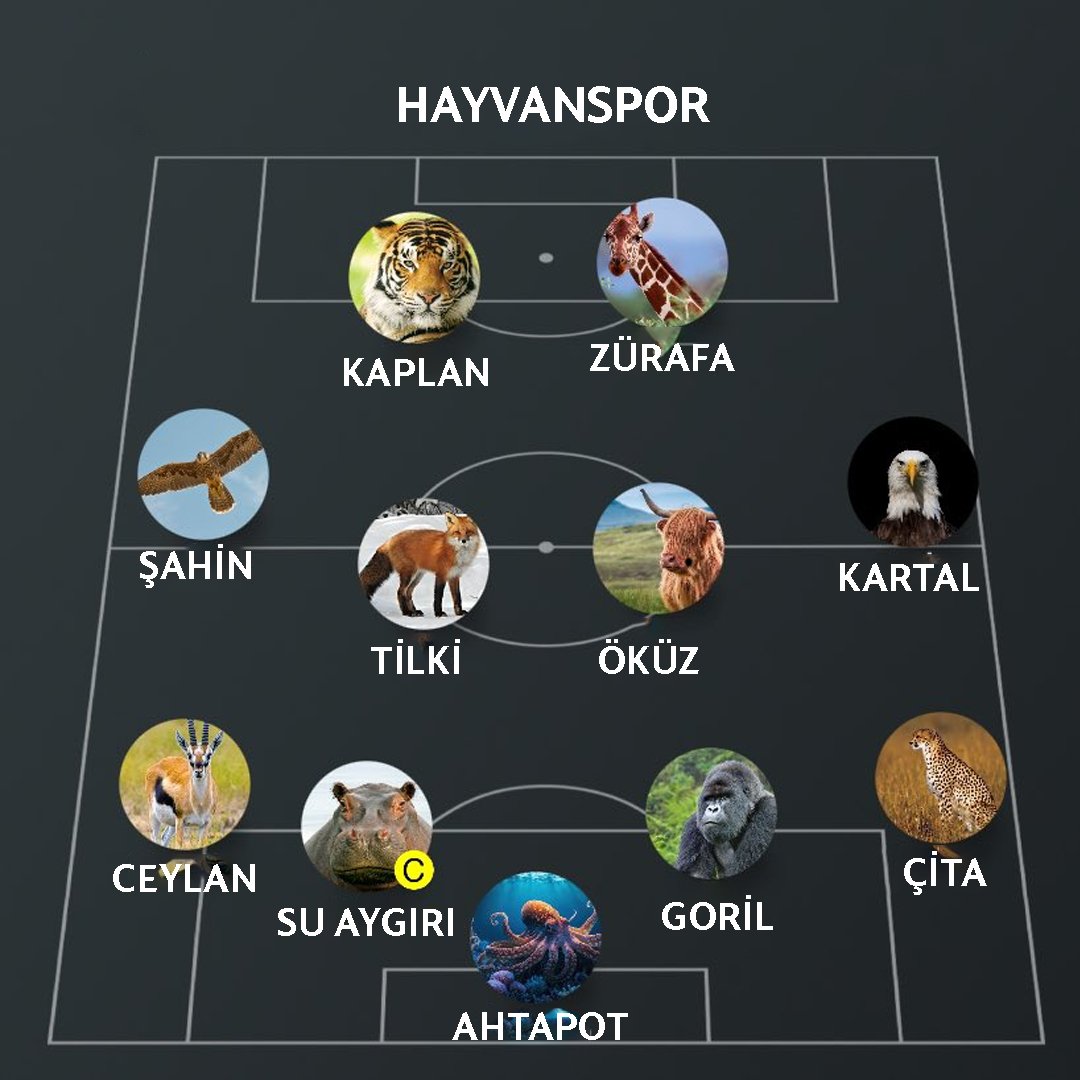 fmdestekcom's tweet photo. Taktik önerilerine açığım https://t.co/VHD9H6O6an