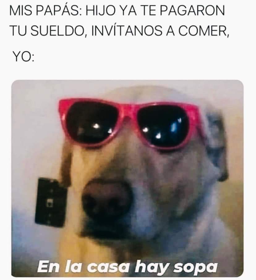 MemesSV7's tweet photo. 🤣🤣🤣🙋‍♂️ https://t.co/ZmNzBCpTJn