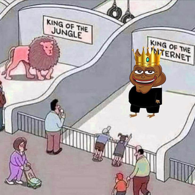 LeonaJosep59844's tweet photo. @rektmando Don’t let this one slip away! $FECES is clogging up the charts with massive gains! 💩📈 #FlushWithSuccess #CryptoFun
$FECES
Ca: 5j2shkkzascw33QpW6RRqfRkacLkn7QwwV1e7jX36nyn
https://t.co/g8hbrH3Uxz
$Feces
https://t.co/fGVtv78iwa https://t.co/T9k3TZxygE
