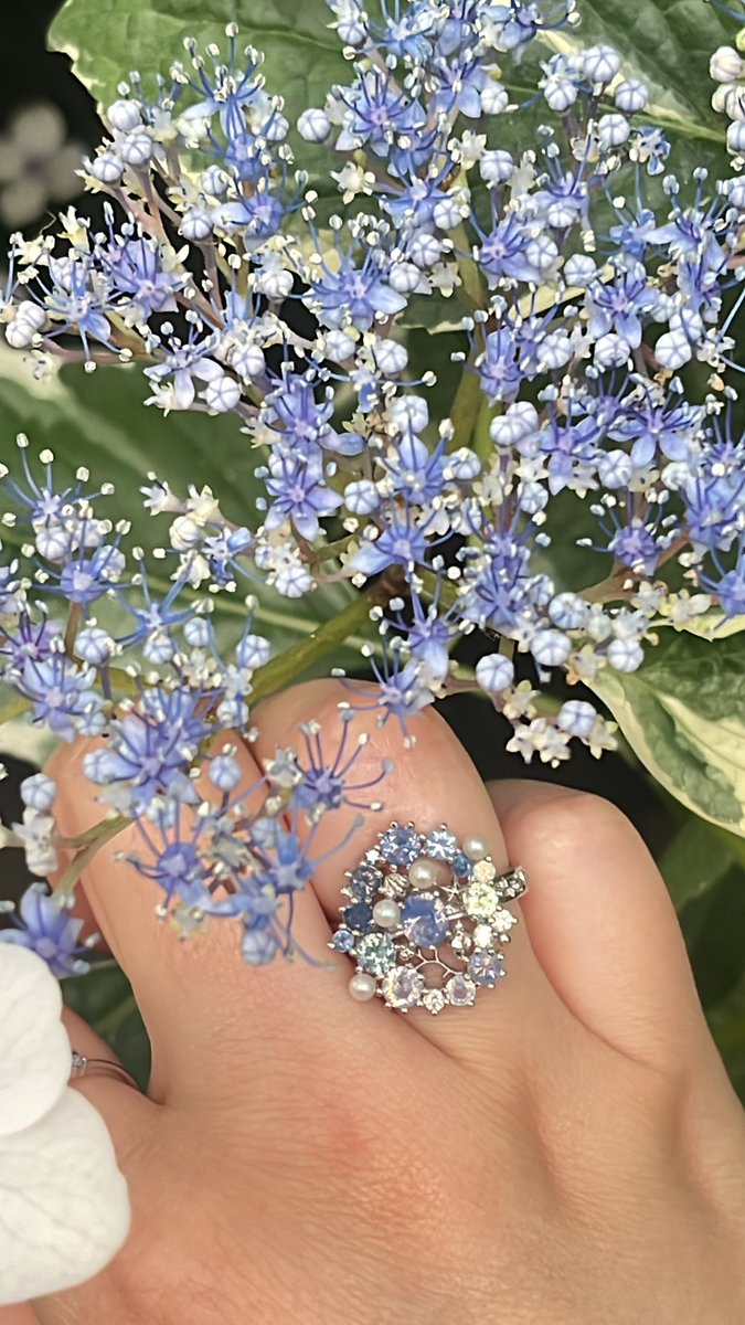 근데 이사진 진짜 잘찍었어