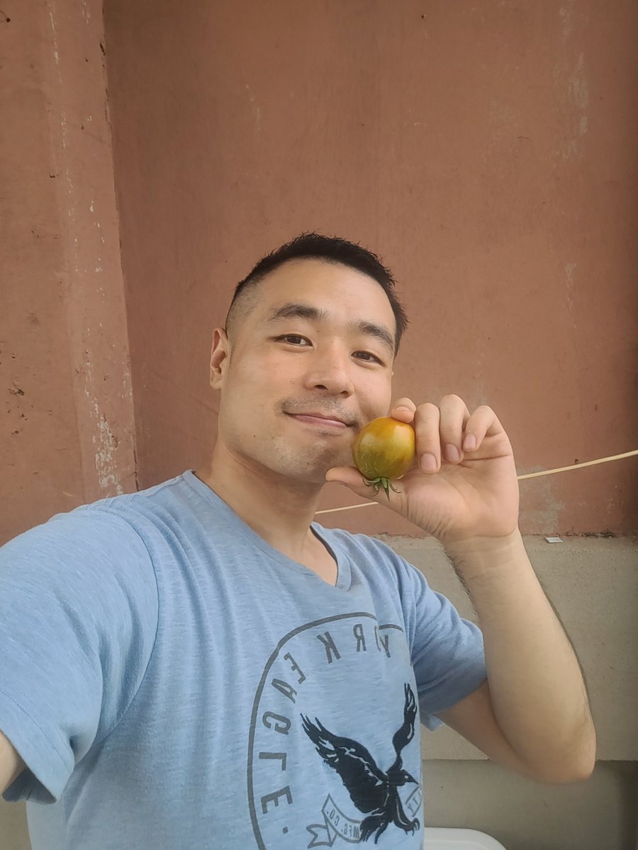 这个夏天 种菜 还有打游戏 跳舞 日常