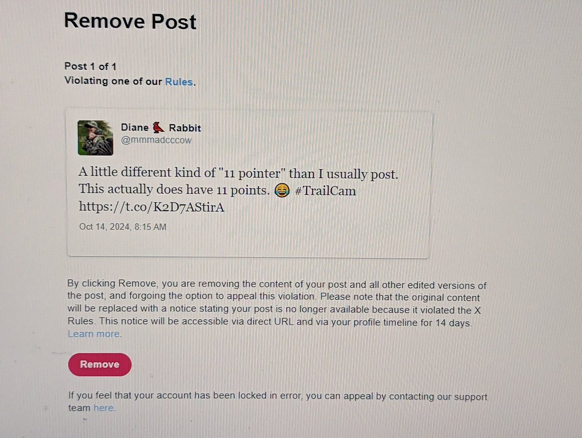 Tell me in what way my trail cam post of an 11 point buck violated X rules? They locked my account until I removed it. 🤷‍♀️🤦‍♀️🤦‍♀️🤦‍♀️