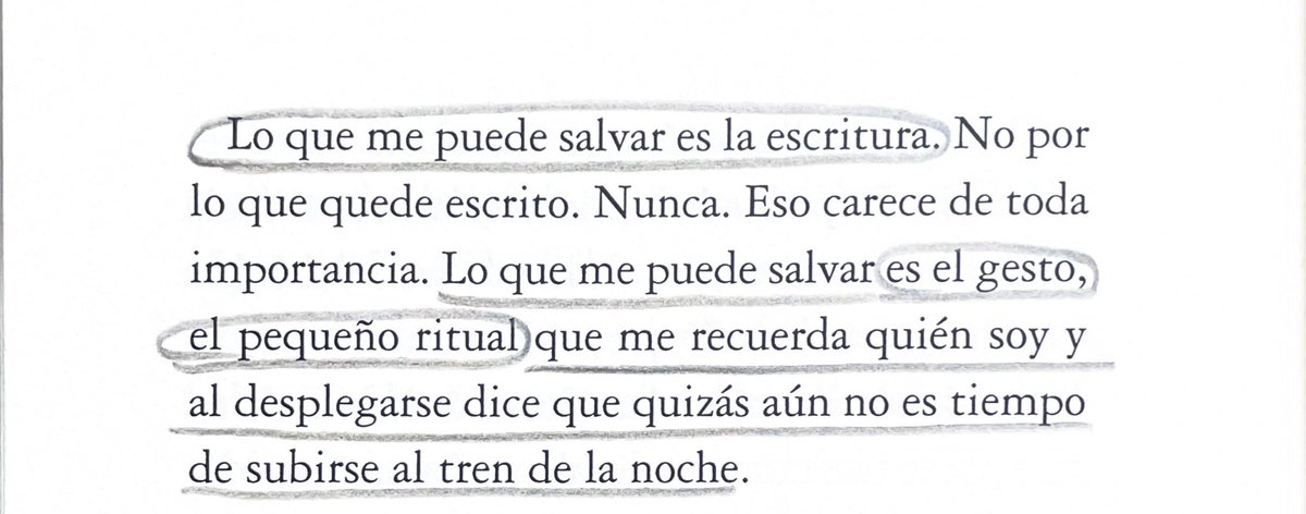 camila mermet tweet media