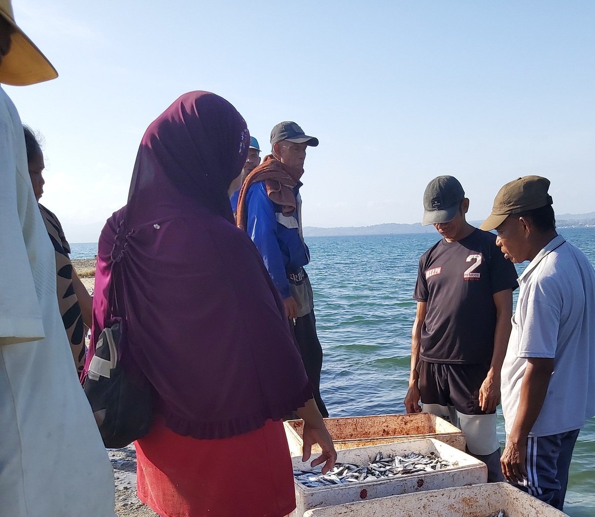 AsrianiBone's tweet photo. Selasa(8/10/2024), Asriani Luhkan Kab Muna, Pendataan Produksi hasil tangkapan pada anggota  KUB Situju TujuE, ikan Layang kecil 50 kg harga Rp 300.000.
#GiatLuhkanSatminkalMaros
#MunaLuhLapor
#BPPSDMKP
#BRPBAPPP_MAROS
#PUSLATLUHKP https://t.co/EktDrq8ASq