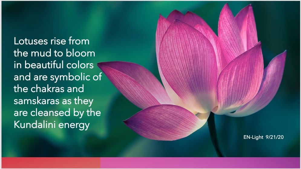 enlightwritings's tweet photo. #ENLightSayings #ENLightAuthor #KundaliniSeries #KundaliniEnergy #BeEnlightened #enlightenments #inspirations #spirituality #mysticism #SelfMastery #meditation #BreakThroughLimitations #Lotuses #ChakraSymbolism #WritingCommunity #ReadingCommunity https://t.co/u62tIggVf9