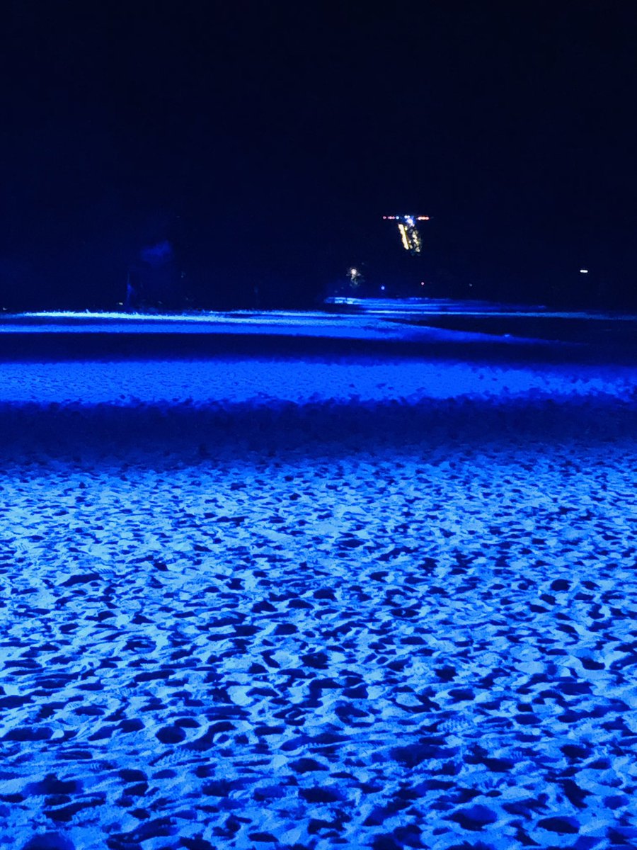 先日旅に出てきた🚃✈️𓂃𓈒𓏸︎︎︎︎
素敵な神社巡りと景色✨
美味しいもの沢山食べた(*´～｀*)ŧ‹"ŧ‹"