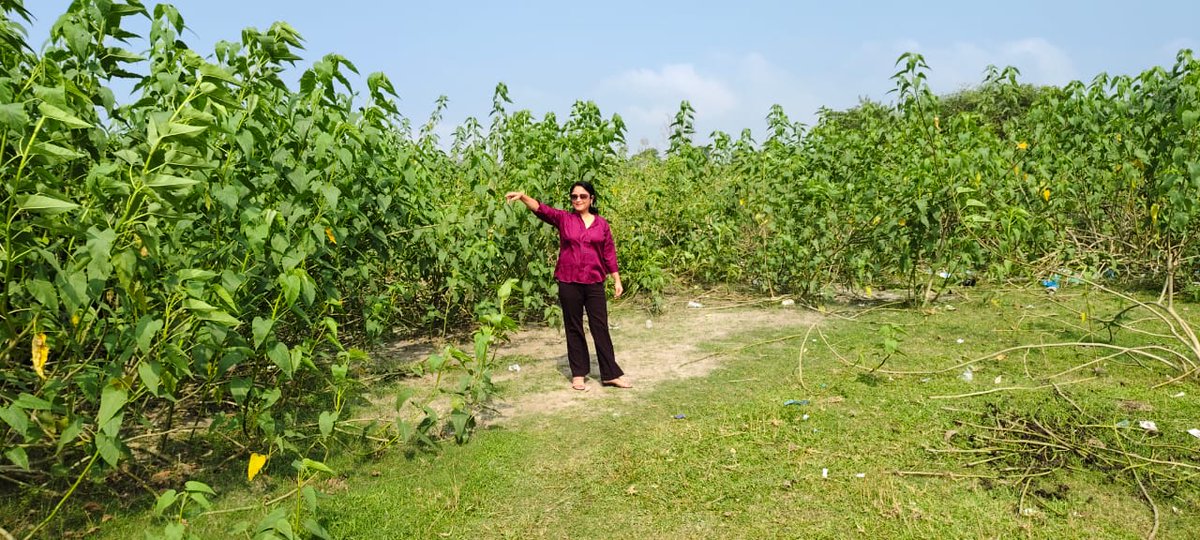 Prativa Borah (@chetiayp) on Twitter photo 