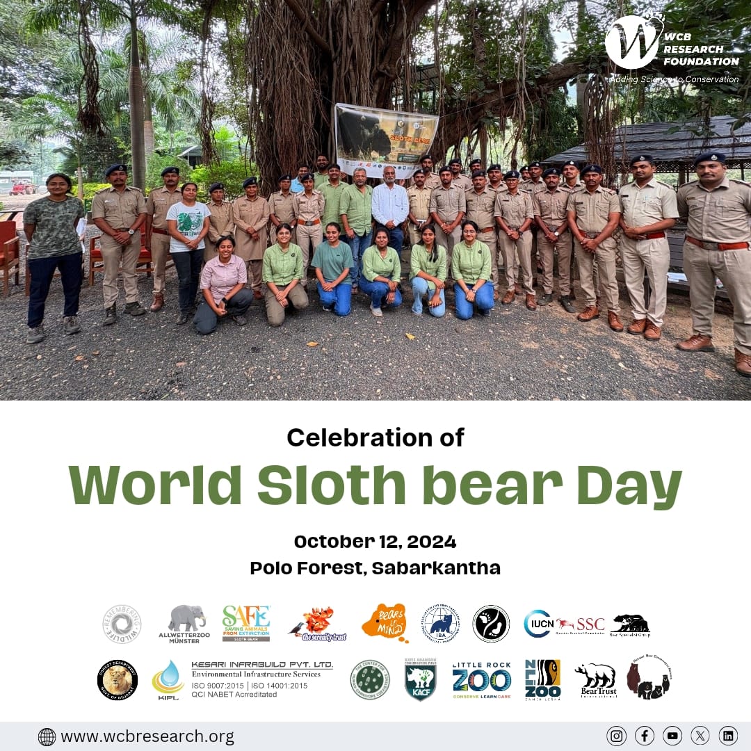 WcbResearch's tweet photo. Celebrated #WorldSlothBearDay at Polo Forest, Sabarkantha! Locals & forest staff joined us as WCB directors shared key insights on sloth bear research and conservation. Ghantikathi were distributed to promote human-wildlife coexistence. #BearConservation #WCBResearch https://t.co/PS5xfPtaZa