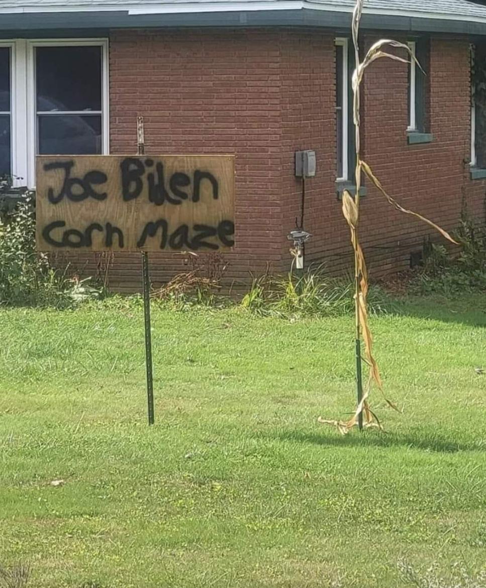 Who did this