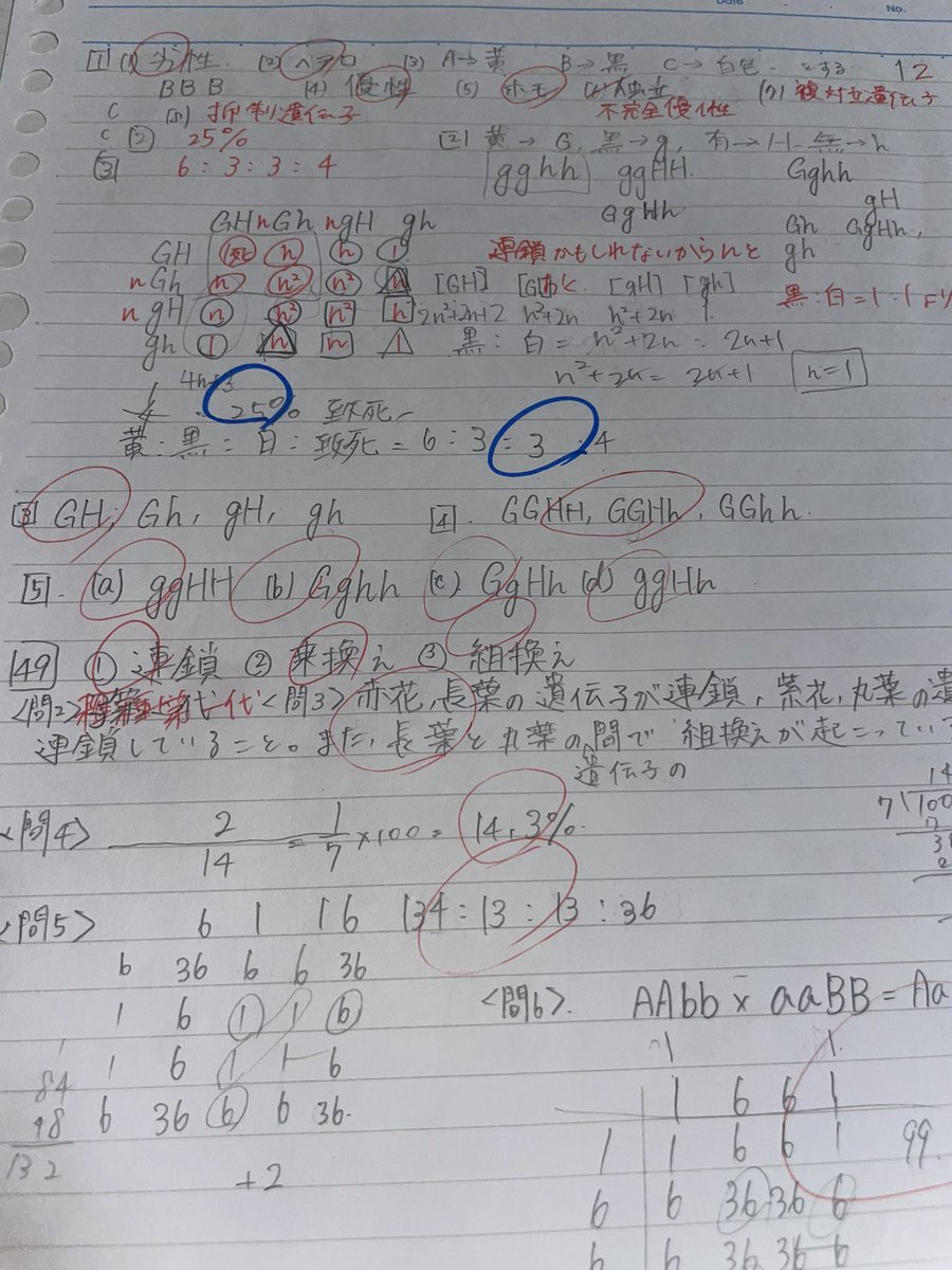 ma_studi's tweet photo. 今日の記録！ https://t.co/S4Dzxwd32k