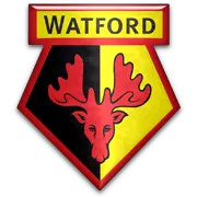 Fuckeveryfootb1's tweet photo. Fuck Watford! https://t.co/86N8PNeL9r