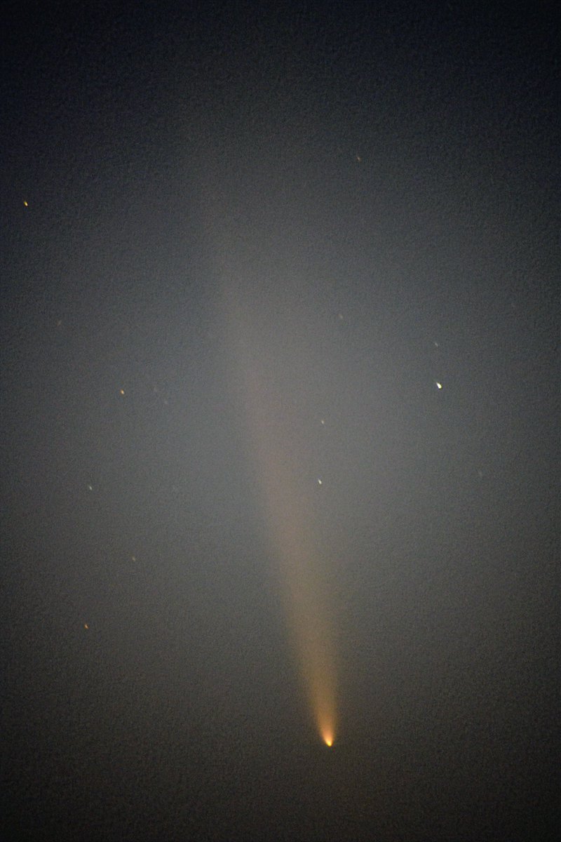 Paul Brandes tweet media