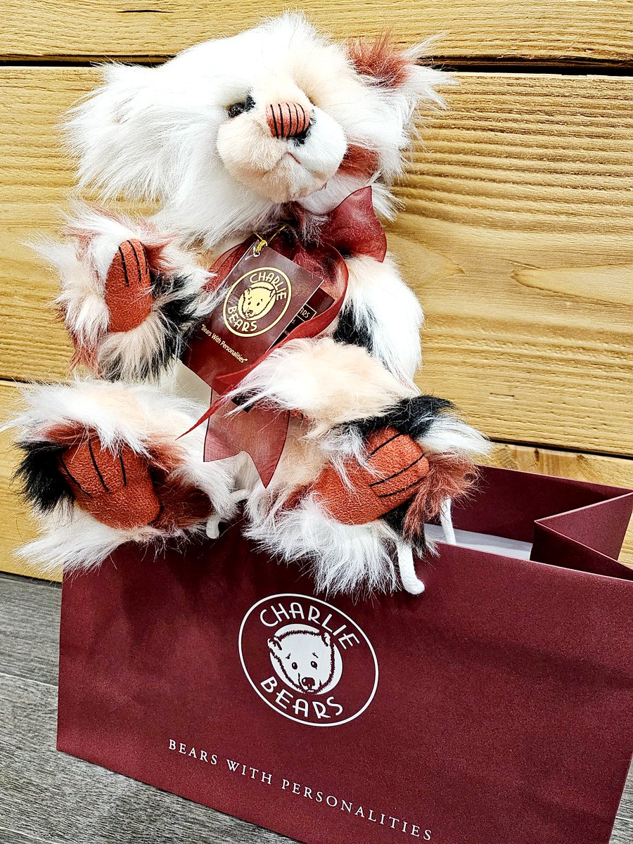 We now stock Charlie Bears! Shop online or at our Eastbourne store to see our full collection 💛💛💛