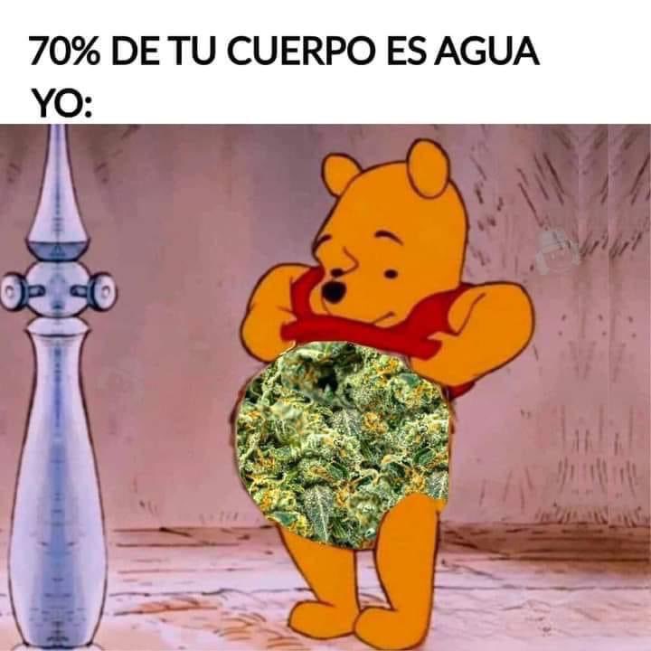 El Paragua Venenoso (@elparaguayo1231) on Twitter photo 