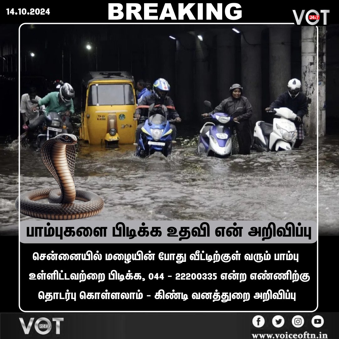 VOT24x7's tweet photo. #BREAKING | சென்னையில் மழையின் போது வீட்டிற்குள் வரும் பாம்பு உள்ளிட்டவற்றை பிடிக்க, 044 - 22200335 என்ற எண்ணிற்கு தொடர்பு கொள்ளலாம் - கிண்டி வனத்துறை அறிவிப்பு | #RainAlert #ChennaiRains #Helpline #snake | #VOT #VOT24x7 #voiceoftamizhnadu |
@JoinVOT @irajashekaran https://t.co/RrX7UZqR1X