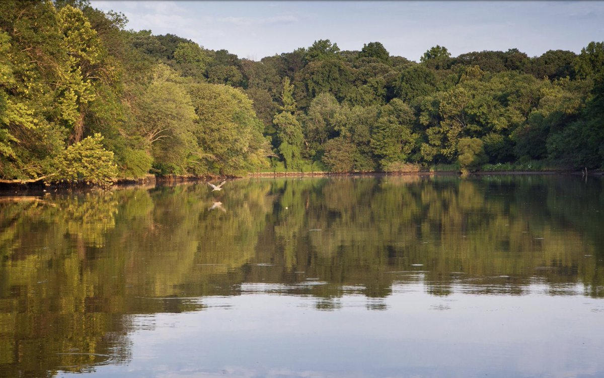 Indigenous peoples settled in DC more than four millennia ago. Native American artifacts have been found in Capitol Hill, Anacostia, Rock Creek, and across DC. On Indigenous Peoples Day, we honor the history and contributions of the Native Americans who first inhabited this land.