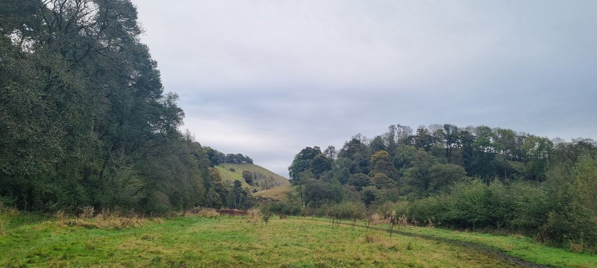 milliemagpie92's tweet image. Morning walk view and morning coffee view! #spoiltforchoice