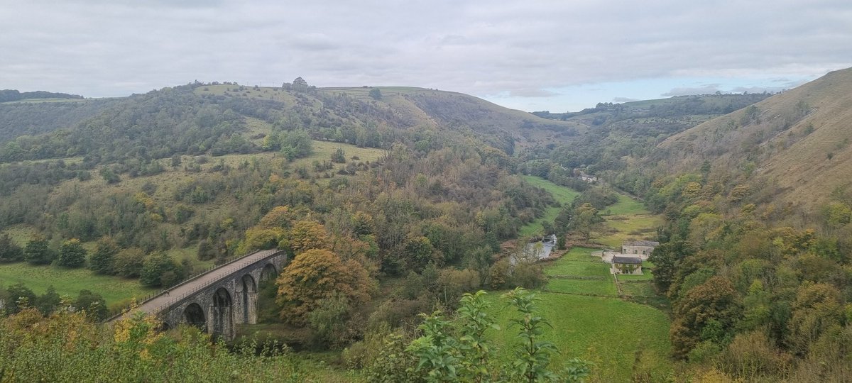 milliemagpie92's tweet image. Morning walk view and morning coffee view! #spoiltforchoice