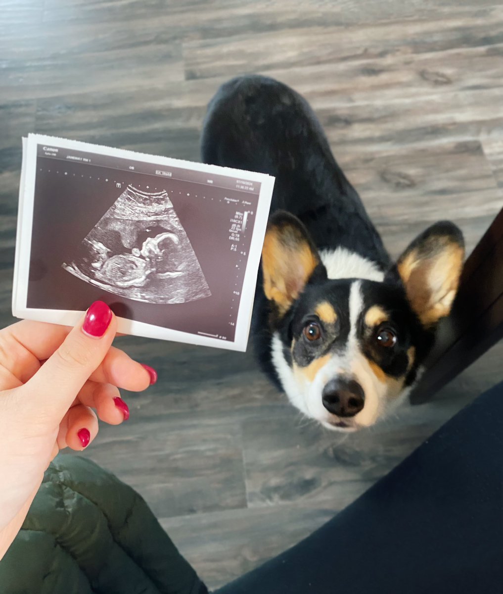 Emilie Power tweet media