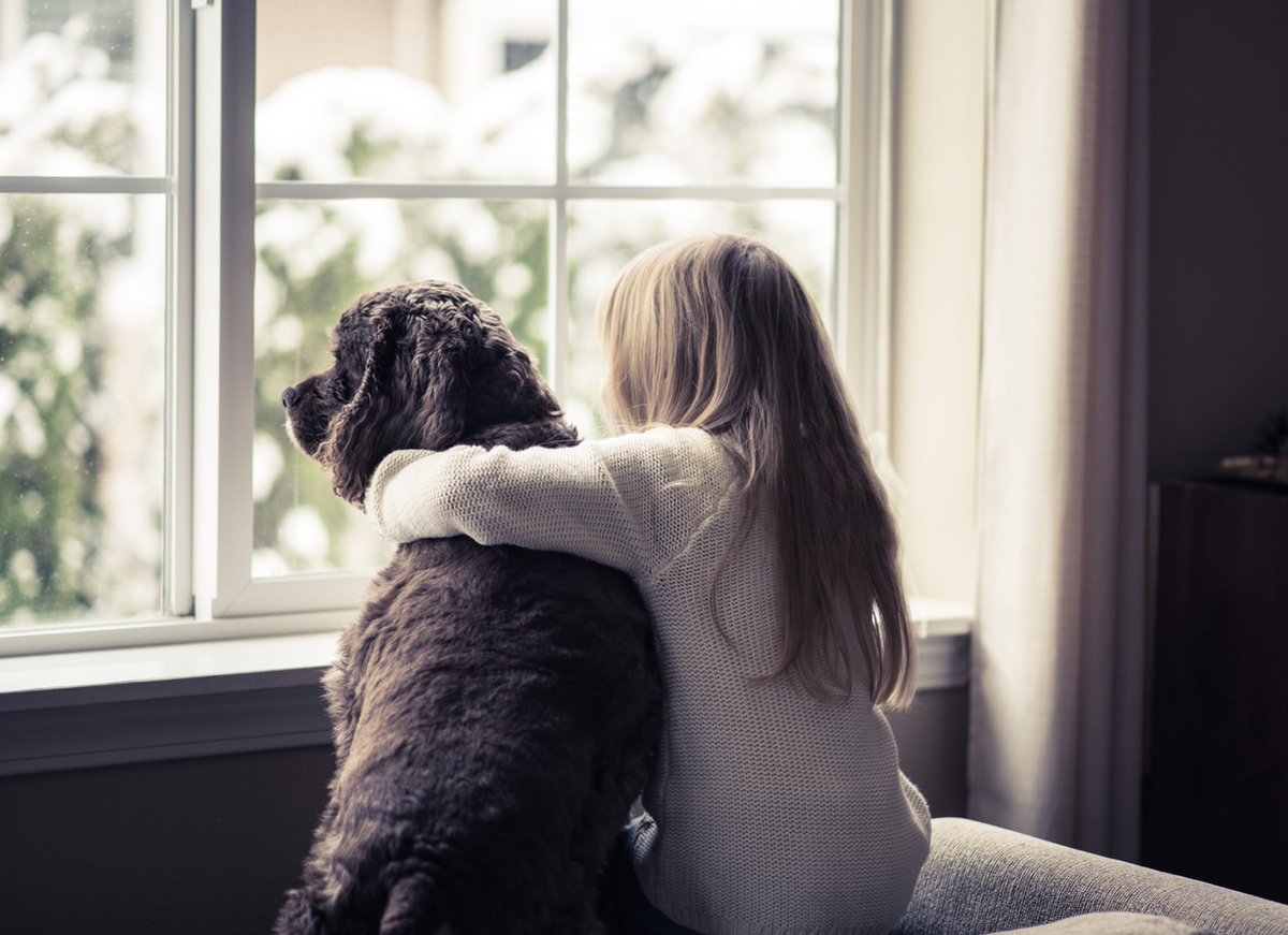 🔒🏡 Child Safety &amp; Timber Windows: Make Your Home Safer!

At Ventrolla, we specialise in integrating modern safety features into your beautiful period windows. Ensure your home is both stylish and safe!

👉 Read more: hubs.ly/Q02Tf8lK0

#ChildSafety #HomeRefurbishment
