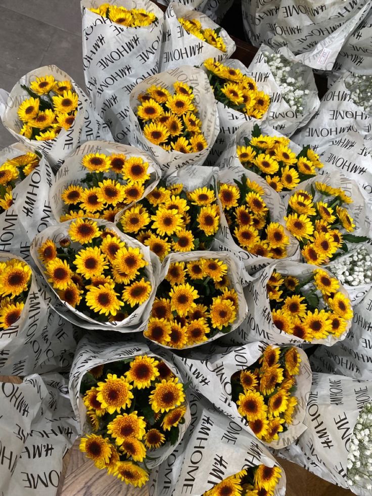 sunflowers.