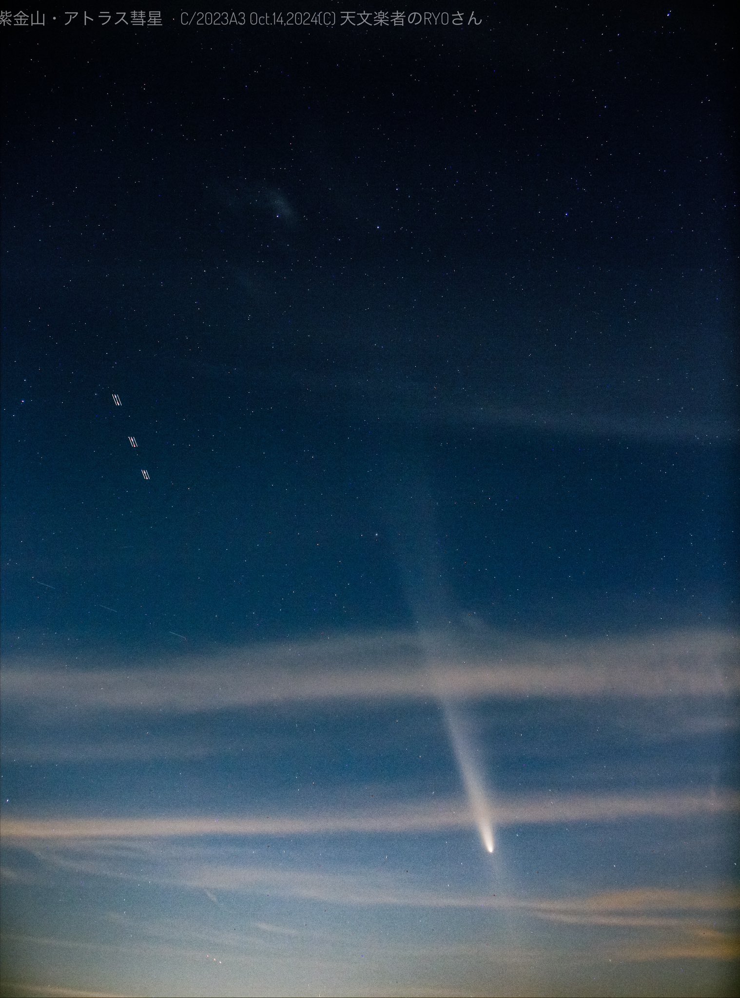 最終値下げ】【ARS9】光神機-桜火 旧アジア つながり レリーフ 