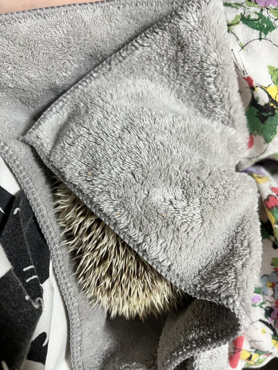 おひざでゆったり