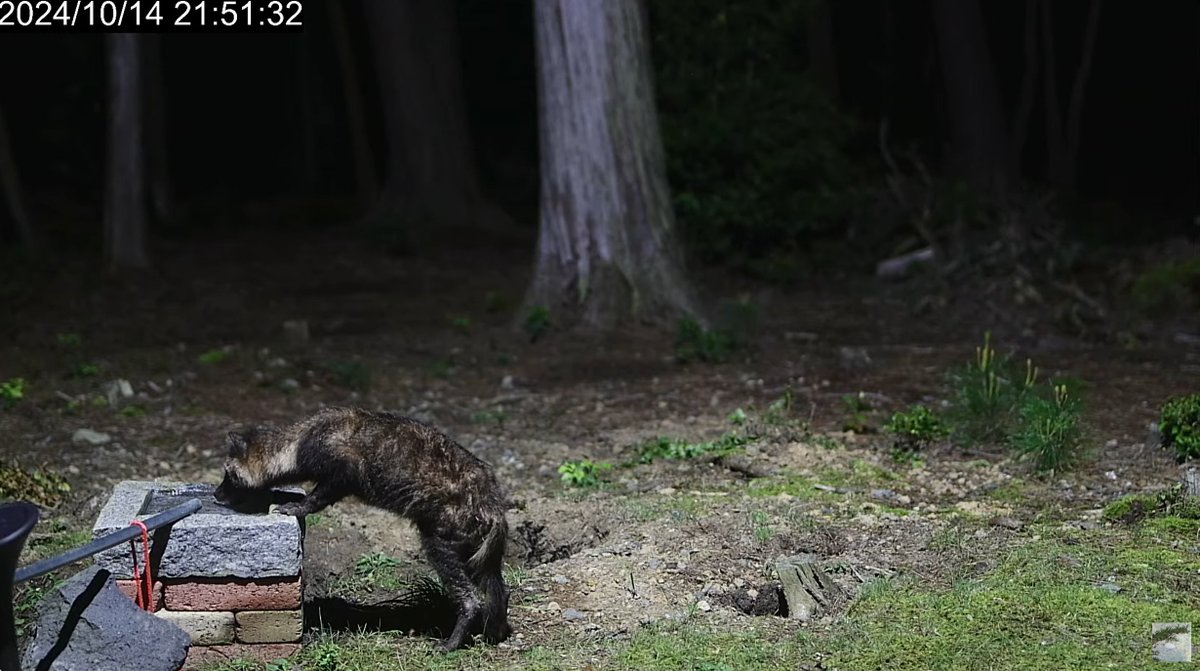 青山 高原 ライブ カメラ