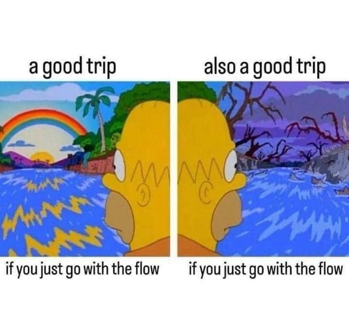 BrooklynBalance's tweet photo. Ever feel like Homer Simpson drifting into a hedge? Sometimes that's what it’s like to 'go with the flow' in a psychedelic journey—surrender and trust the process. #PsychedelicIntegration https://t.co/zmE5MgAEcR
