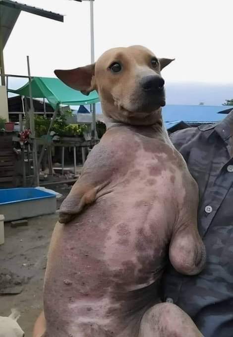 I am very sad cause nobody love me💔😢