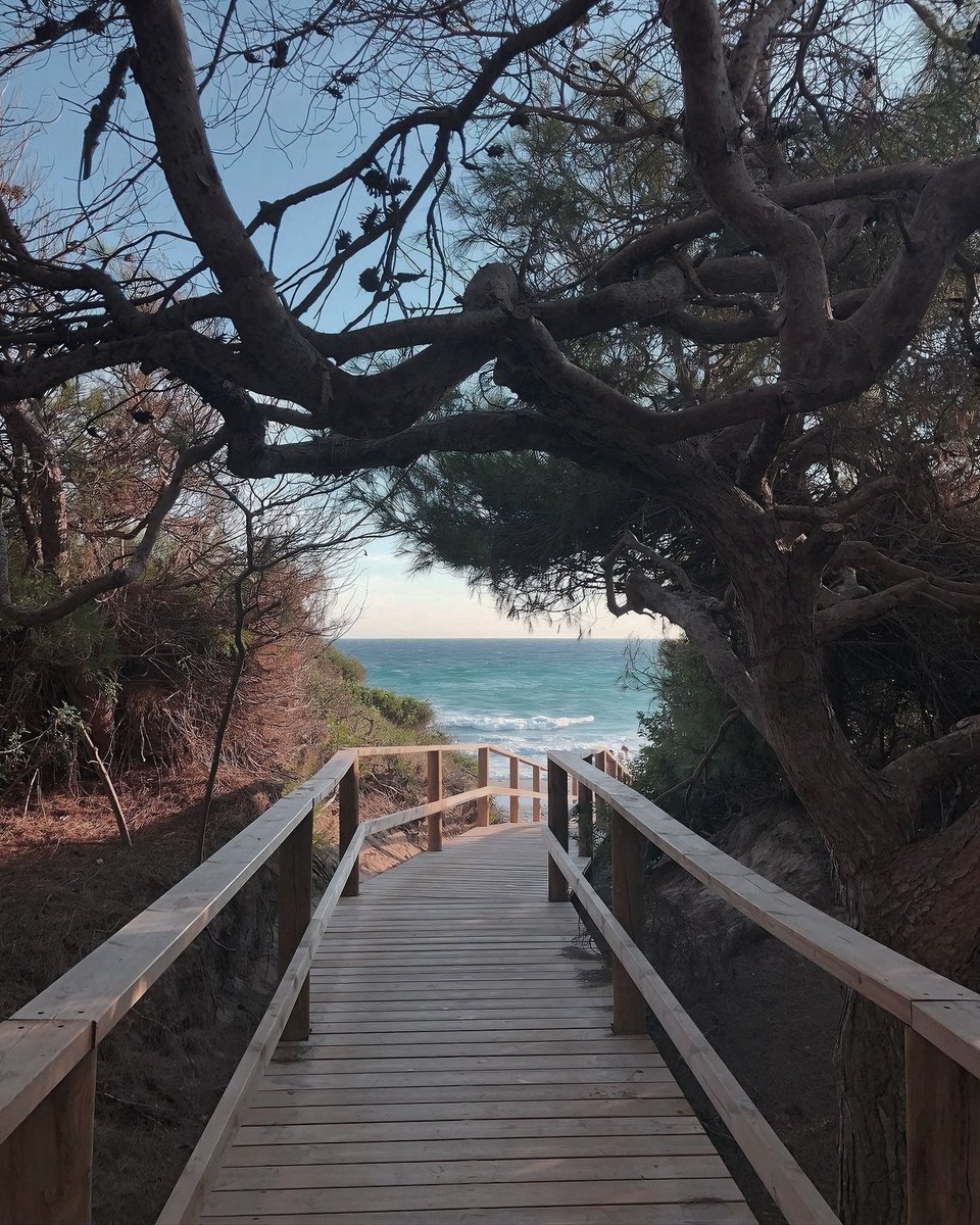 NuramarResort's tweet photo. La serenidad de la isla en esta temporada
No hay mejor lugar para soñar.

Nuramar Resort ↴
 https://t.co/NHELT1wgbn
 +34 660425059

#Menorca #Naturaleza #igersmenorca #nuramarresort #otoño #menorcaDiferente 
@NuramarResort https://t.co/R9JjOqxRCP