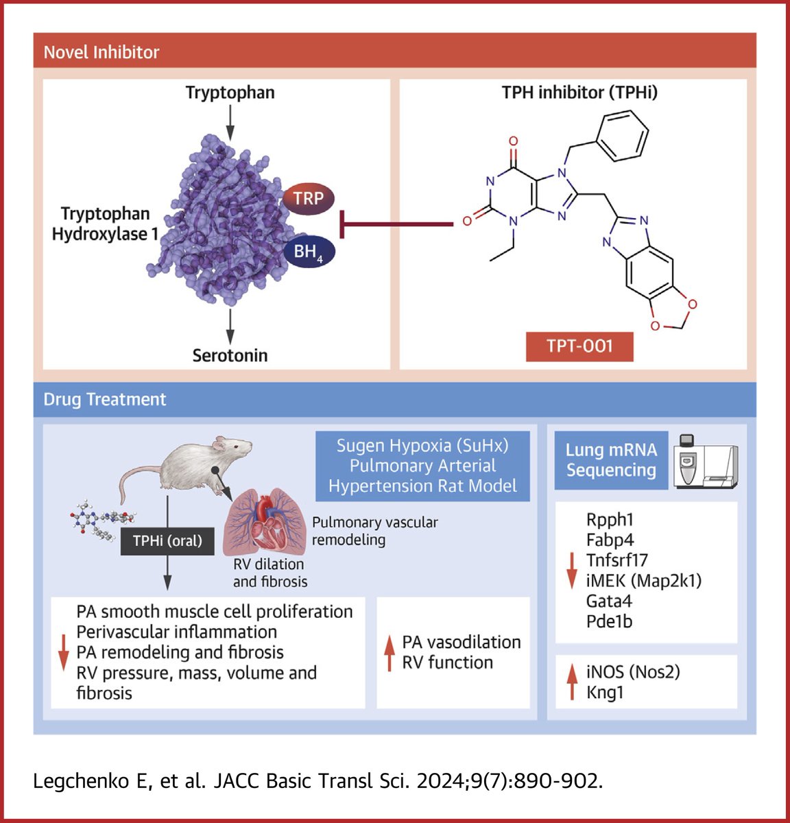 Georg Hansmann Lab (@hansmann_lab) on Twitter photo A new basic-translational research paper from our Land Michael Bader's group has been published: Legchenko et al. Novel Tryptophan Hydroxylase Inhibitor TPT-001 Reverses PAH, ... (2024). JACC Basic Transl Science.
jacc.org/doi/10.1016/j.…
<a href="/3CPRCouncil/">3CPR Council</a>
<a href="/ATS_PC/">ATS PC Assembly</a>
<a href="/PVRI/">The Pulmonary Vascular Research Institute</a>
<a href="/StanfordCVI/">Stanford CVI</a> A new basic-translational research paper from our Land Michael Bader's group has been published: Legchenko et al. Novel Tryptophan Hydroxylase Inhibitor TPT-001 Reverses PAH, ... (2024). JACC Basic Transl Science.
jacc.org/doi/10.1016/j.…
<a href="/3CPRCouncil/">3CPR Council</a>
<a href="/ATS_PC/">ATS PC Assembly</a>
<a href="/PVRI/">The Pulmonary Vascular Research Institute</a>
<a href="/StanfordCVI/">Stanford CVI</a>