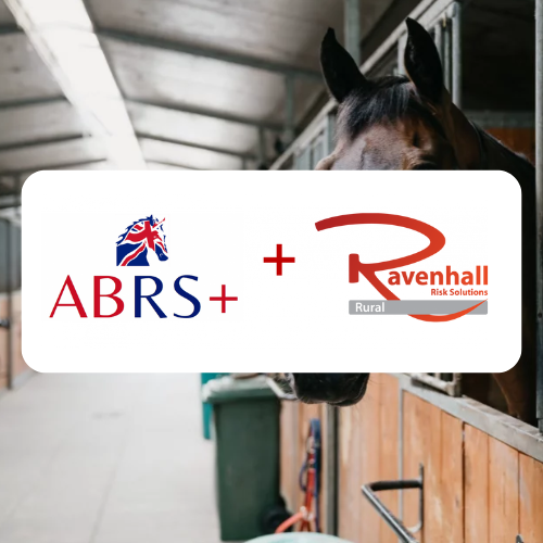 RavenhallRural's tweet photo. Announcing our specialist insurance programme for ABRS+ members!

For those members new to Ravenhall Rural, we focus on insurance for equestrian businesses.

Read More:
https://t.co/0OKQ4MNVyK

#horseriding #EquestrianInsurance #horselovers #equestrian https://t.co/xJElPf8T4K