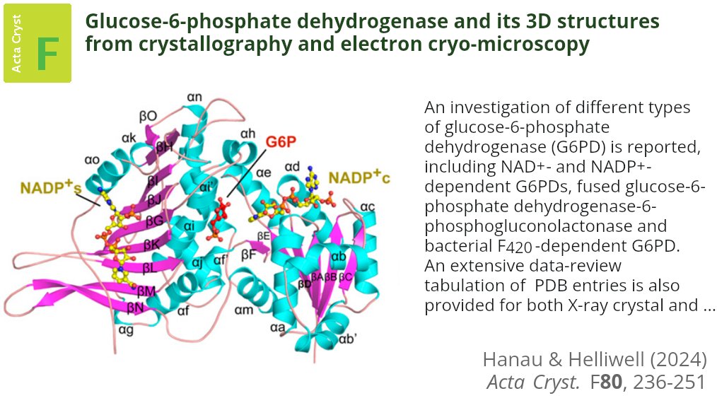 This topical review focuses on 13 X-ray crystal structures and five electron cryo-microscopy structures of glucose-6-phosphate dehydrogenase in the PDB <a href="/OfficialUoM/">The University of Manchester</a> <a href="/IUCr/">IUCr</a> #Glucose6PhosphateDehydrogenase #XRayCrystallography #ElectronCryoMicroscopy doi.org/10.1107/S20532…