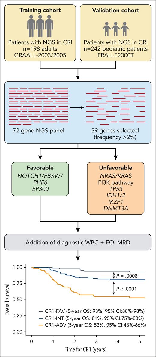 BloodPortfolio's tweet photo. A T-ALL order: a new risk classifier for T-ALL
https://t.co/hcECJOfQOl #clinicaltrialsandobservations https://t.co/cyoipQNMNk