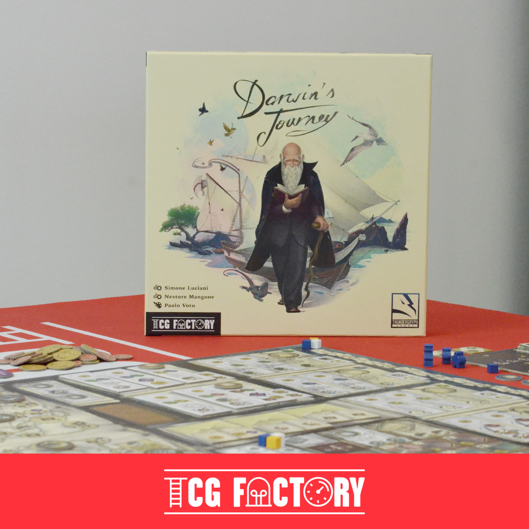 TCG Factory tweet media