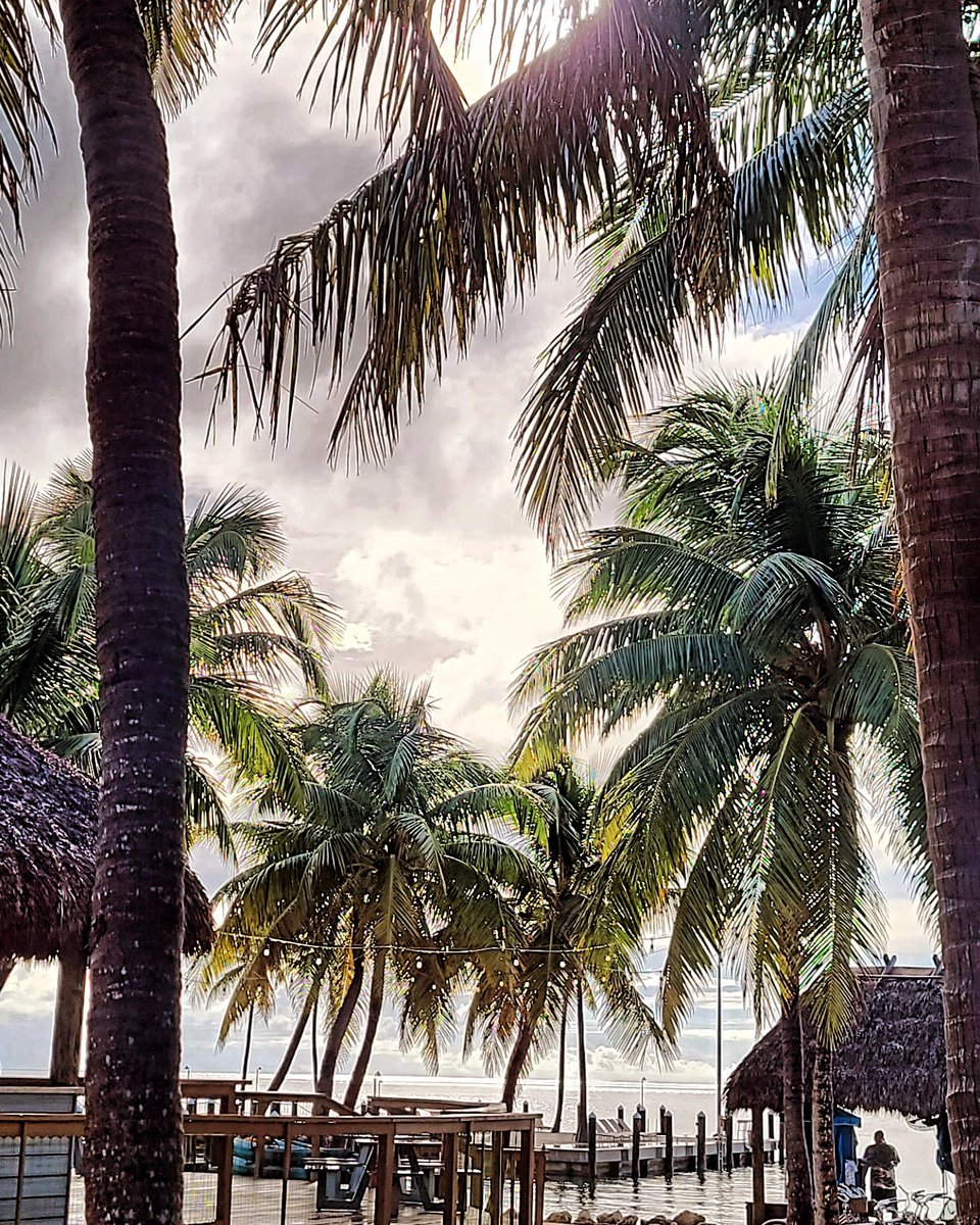 YanniTiki's tweet photo. 🌴 Rise and shine, Tiki Tribe! It's a brand new day, and we're bringing the tropical vibes to your morning.
.
.
.
.
#YanniTiki #GoodMorningSunshine #TikiFever #MorningVibes #TropicalStart #paradiseinaglass #yannifruitart #yannitikitribe
#SummertimeForever
#SipAndChill
#keywest https://t.co/JqyW0THBxB
