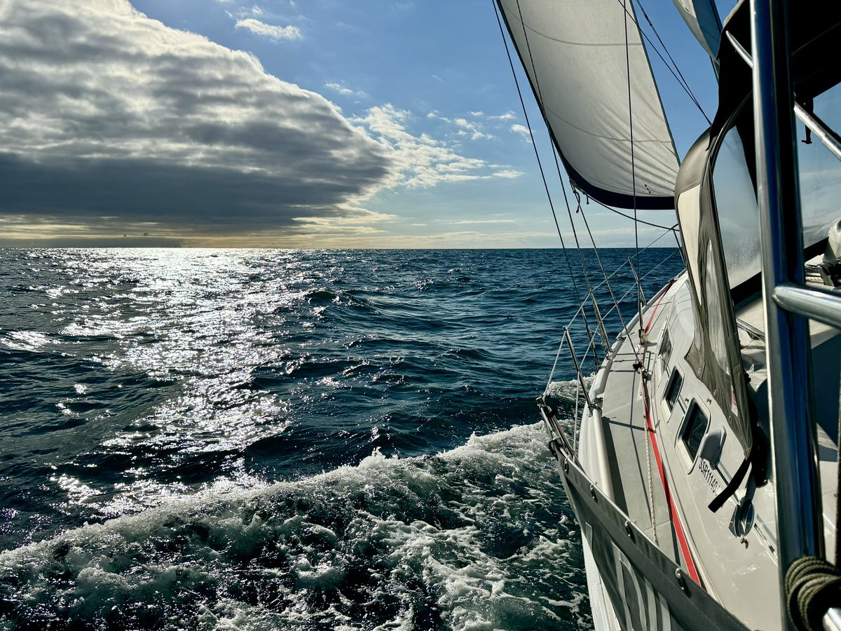 Roy Broad tweet media