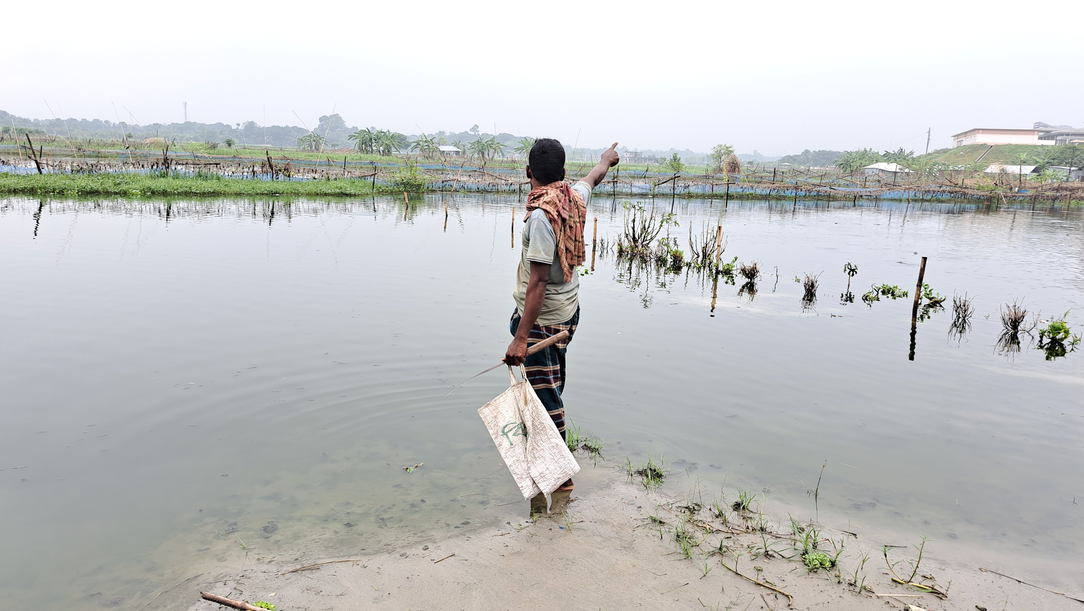 নড়াইলে বর্ষা মৌশুমে কয়েক দফা ভারী বর্ষনে মৎস্য ও কৃষি খাতে ক্ষতি শত কোটি টাকা