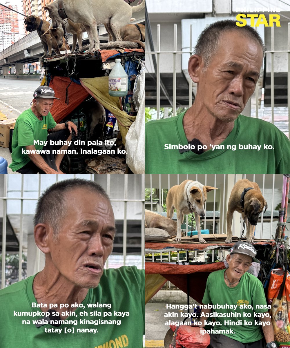 PhilippineStar's tweet photo. 'SIMBOLO PO 'YAN NG BUHAY KO' 🥹🐕

Tatay Carlos, a 66-year-old homeless man, finds joy and the true meaning of family in the lives of seven stray dogs he had adopted. 

His dogs, which he named Menggay, Minggoy, Rica, Rico, Melo, Sharon, and Ruby, are always clean and well-fed, thanks to the generous donations from individuals and his earnings from selling junk he scavenges along Taft Avenue in Manila.

For those who wish to help Tatay Carlos, you may send your donations through the following channels:

BDO
000230155863
Julianne P. Chuah

Land Bank
5277054894
Mary Laureen Velasco

GCASH
0966 006 8010
Alyssa Nicole Santiago