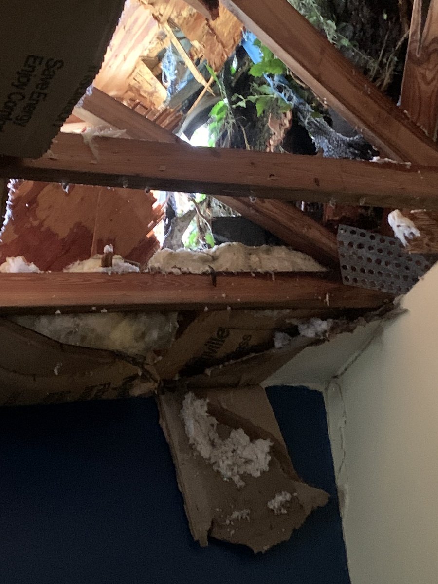 SoggeeTissue's tweet photo. So we are looking at half of home being lost. We are safe now sound but this will be a long journey. Please consider clicking the go fund me &amp; sharing it. https://t.co/Ej2uwjAS7Y #hurricanemilton2024 #help #hurricane #grateful @gofundme https://t.co/vZjmLmdMIN