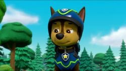 hoangkhang5686's tweet photo. Spy Chase is suspicious #pawpatrol https://t.co/txBIsDBLMc